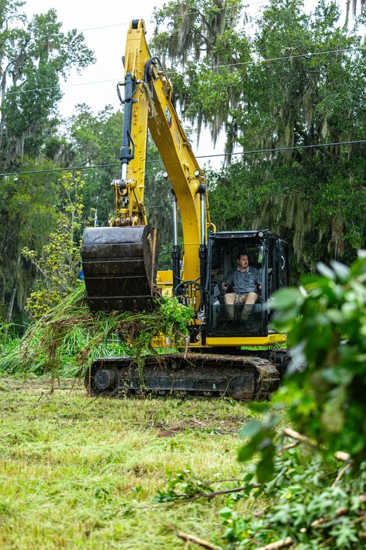 Excavator clearing along a wooded edge