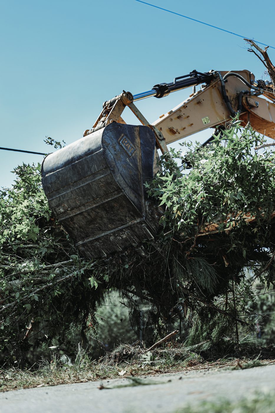 Excavator bucket lifting a load of brush