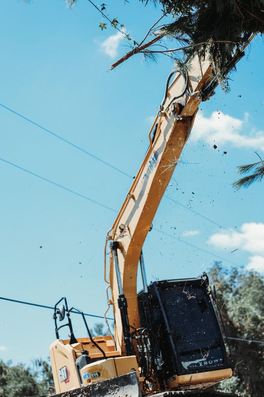 Excavator arm reaching high to pull down a tree