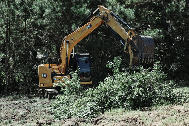 CAT excavator pushing into a pine thicket
