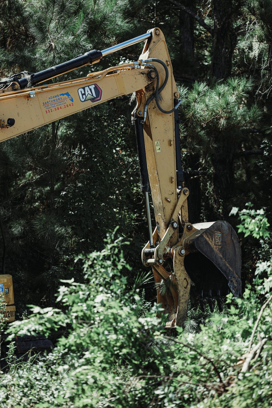 Excavator clearing underbrush between pine trunks