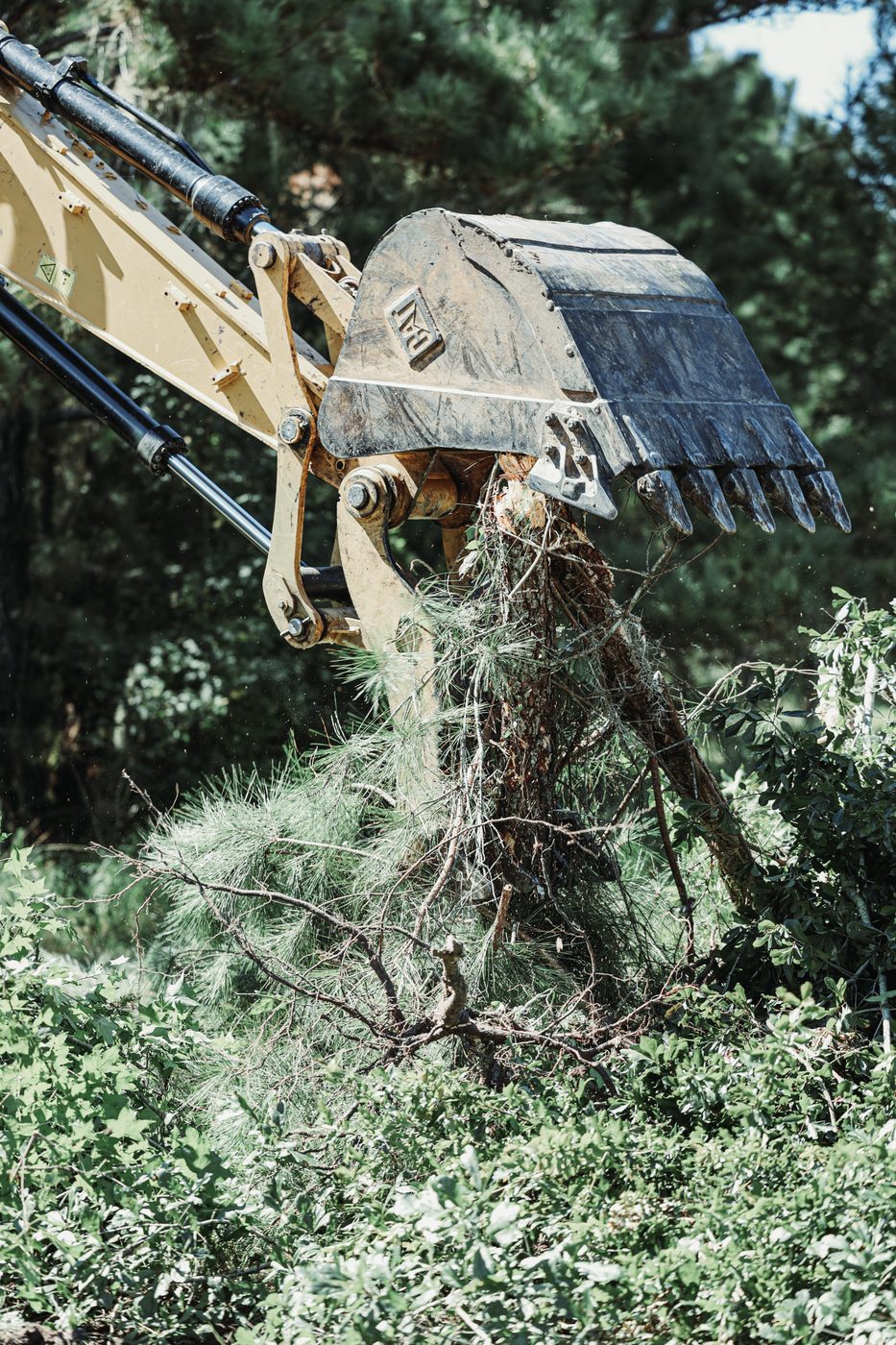 Excavator lifting cleared brush out of a wooded lot