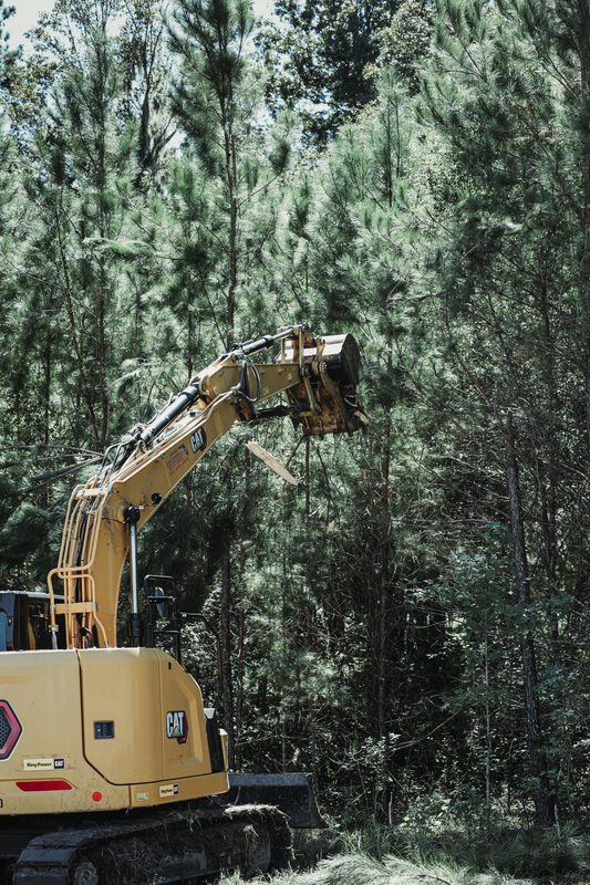 CAT excavator working inside a stand of pines